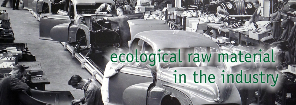 BAFA Hemp in Construction